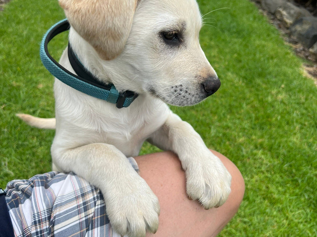 Peterborough Motel主图