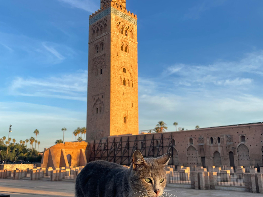 Marruecos en Ruta景点图片