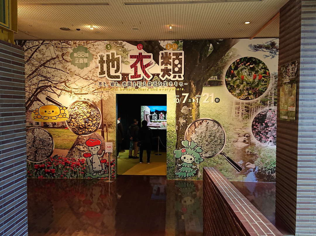 Museum Park Ibaraki Nature Museum-阪东市必去景点