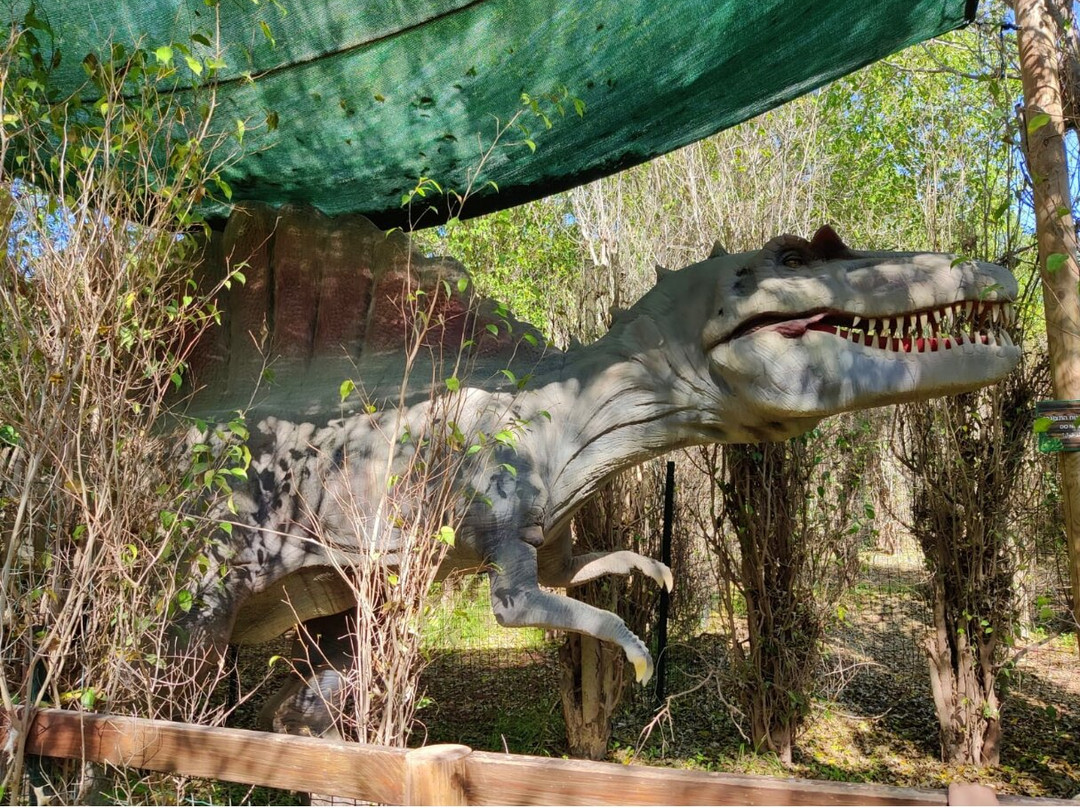 Gan Garoo Zoo-Nir David必去景点