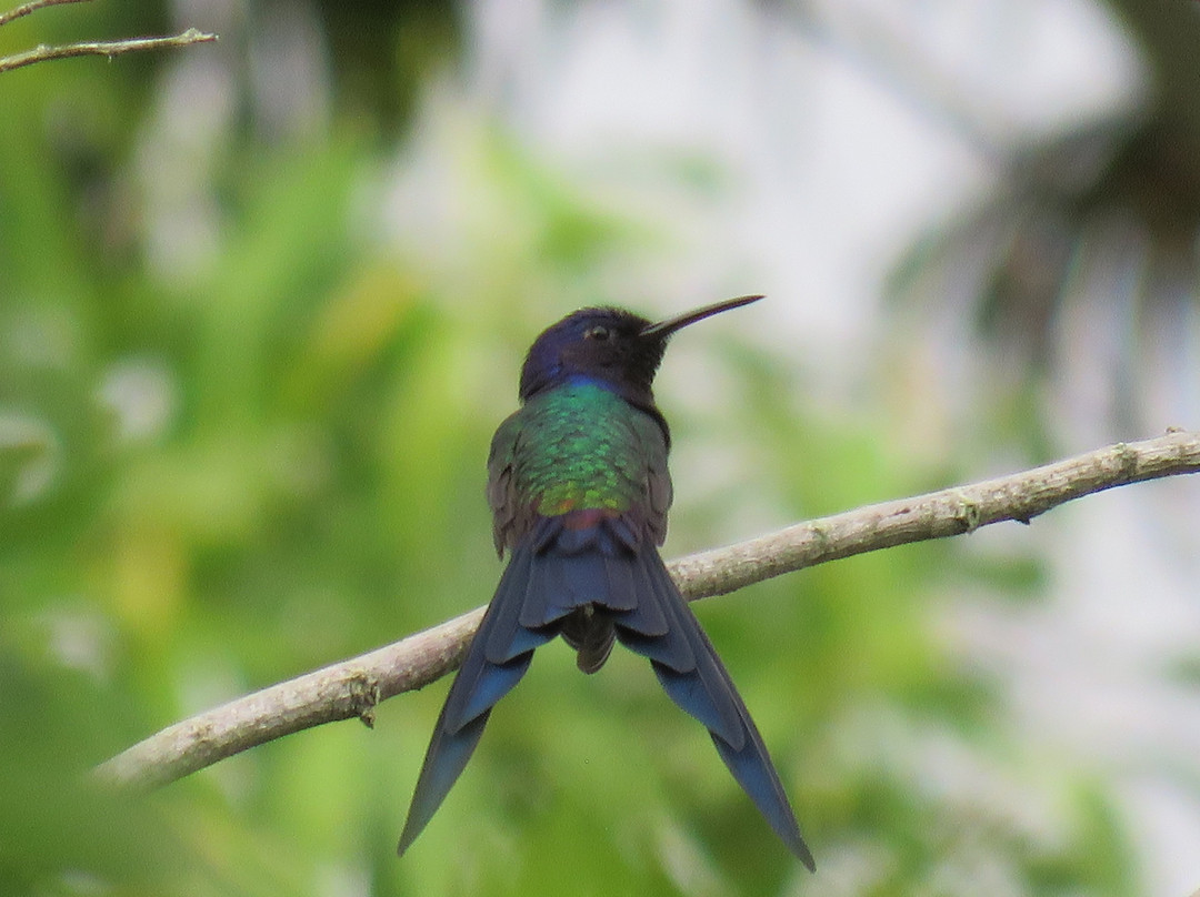 Hotel Pousada da Lagoa主图