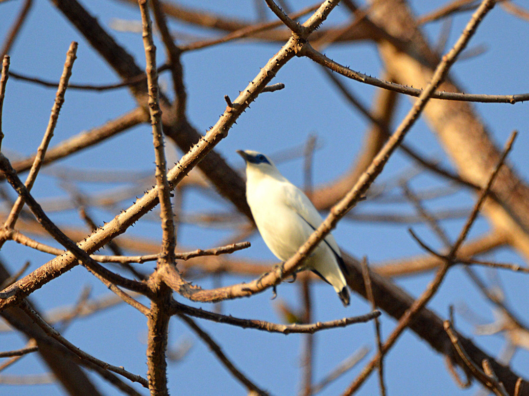 Friends of the National Parks Foundation Wildlife & Conservation Centre-珀尼达岛必去景点