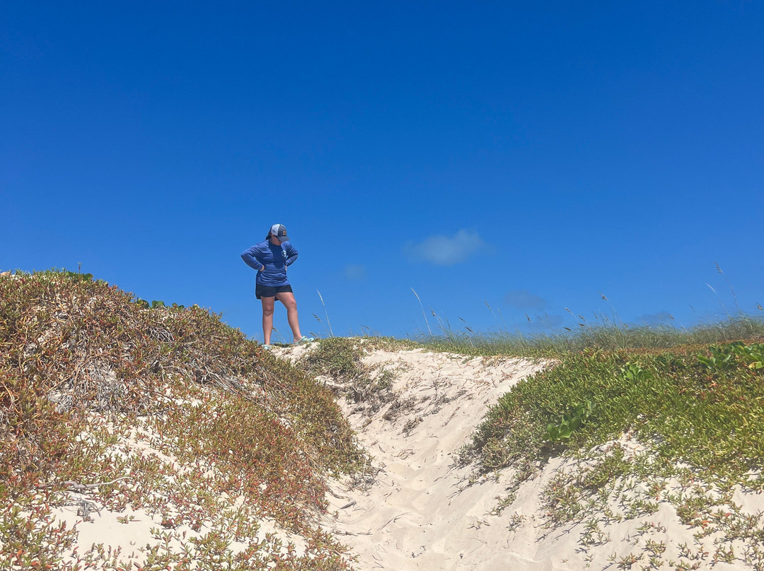 Wet Money Tours & Rentals-Cockburn Town必去景点