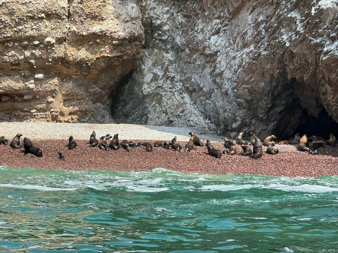South Americans Secrets-帕拉卡斯必去景点
