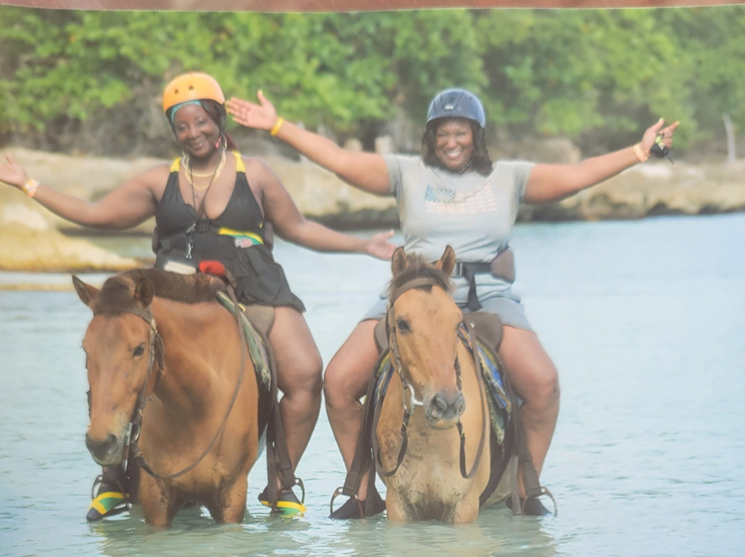 Waves Tours Jamaica-内格里尔必去景点