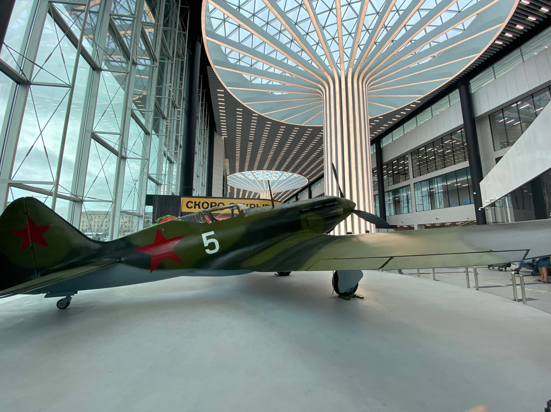 MiG-3 Airplane Model景点图片