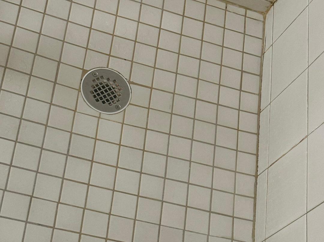 Wingate by Wyndham Sylvania/Toledo主图