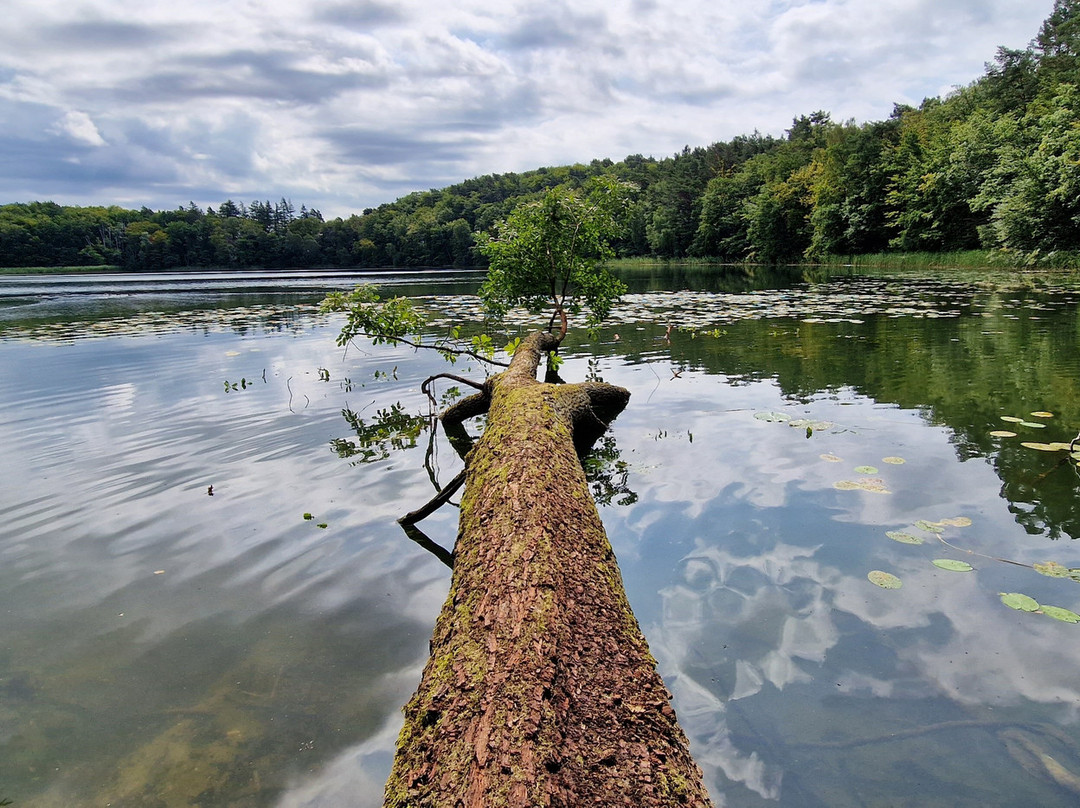 Czajcze Lake -  In Wolin National Park景点图片