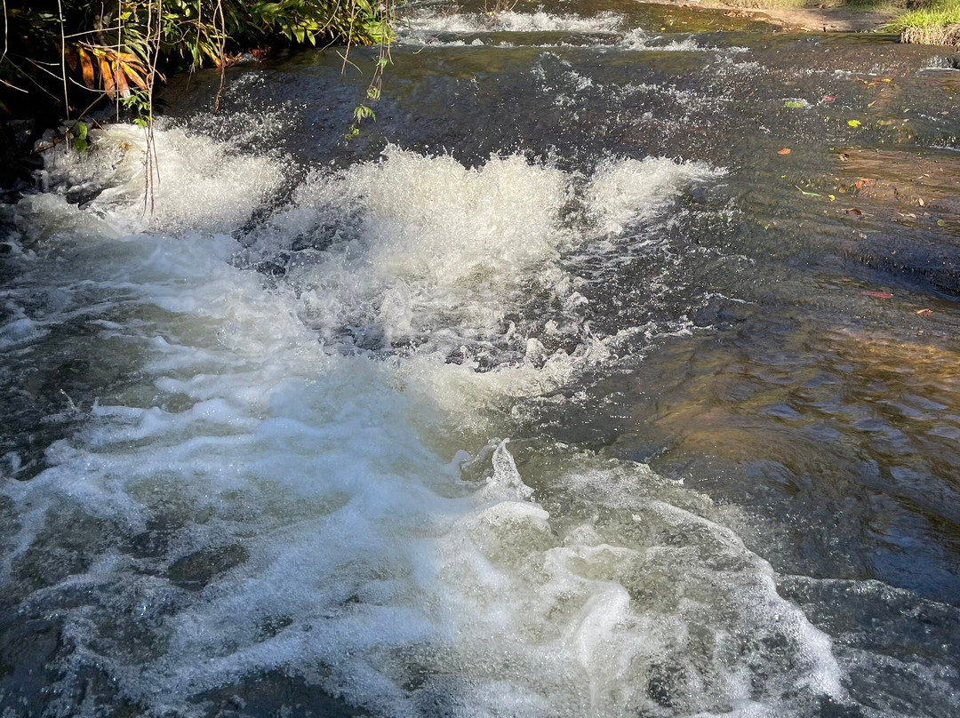 Casarao do Cafe-Salesopolis必去景点