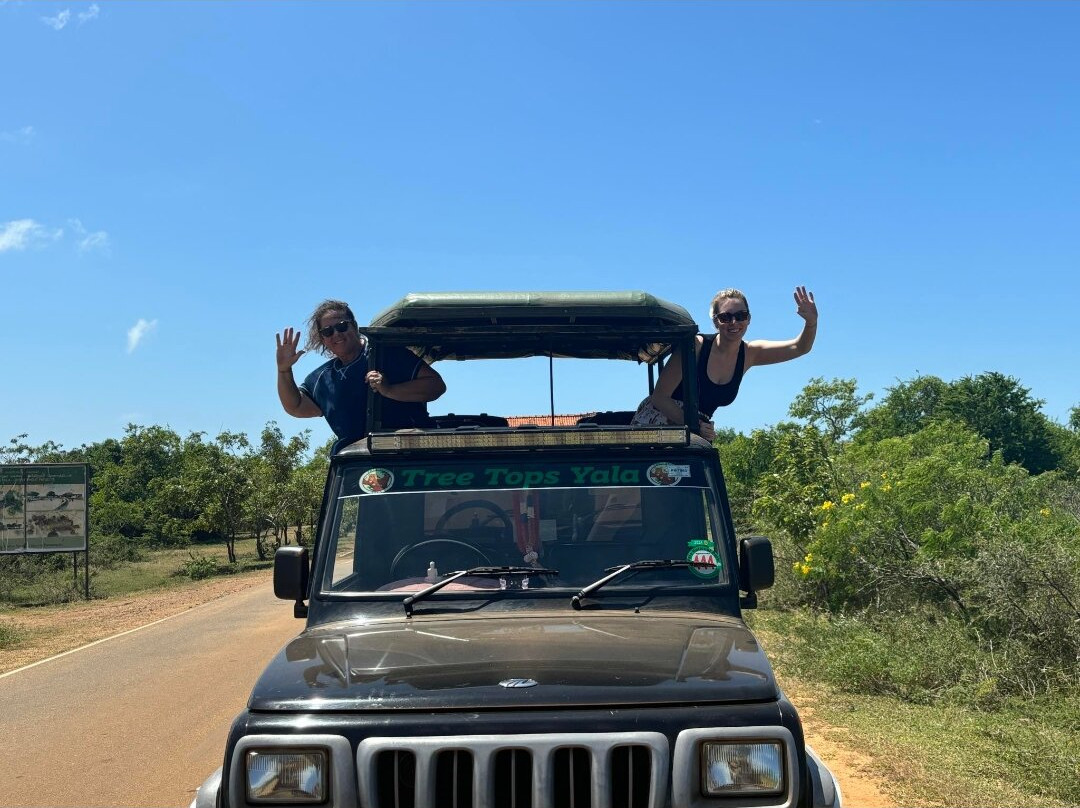 Tree Tops Yala主图