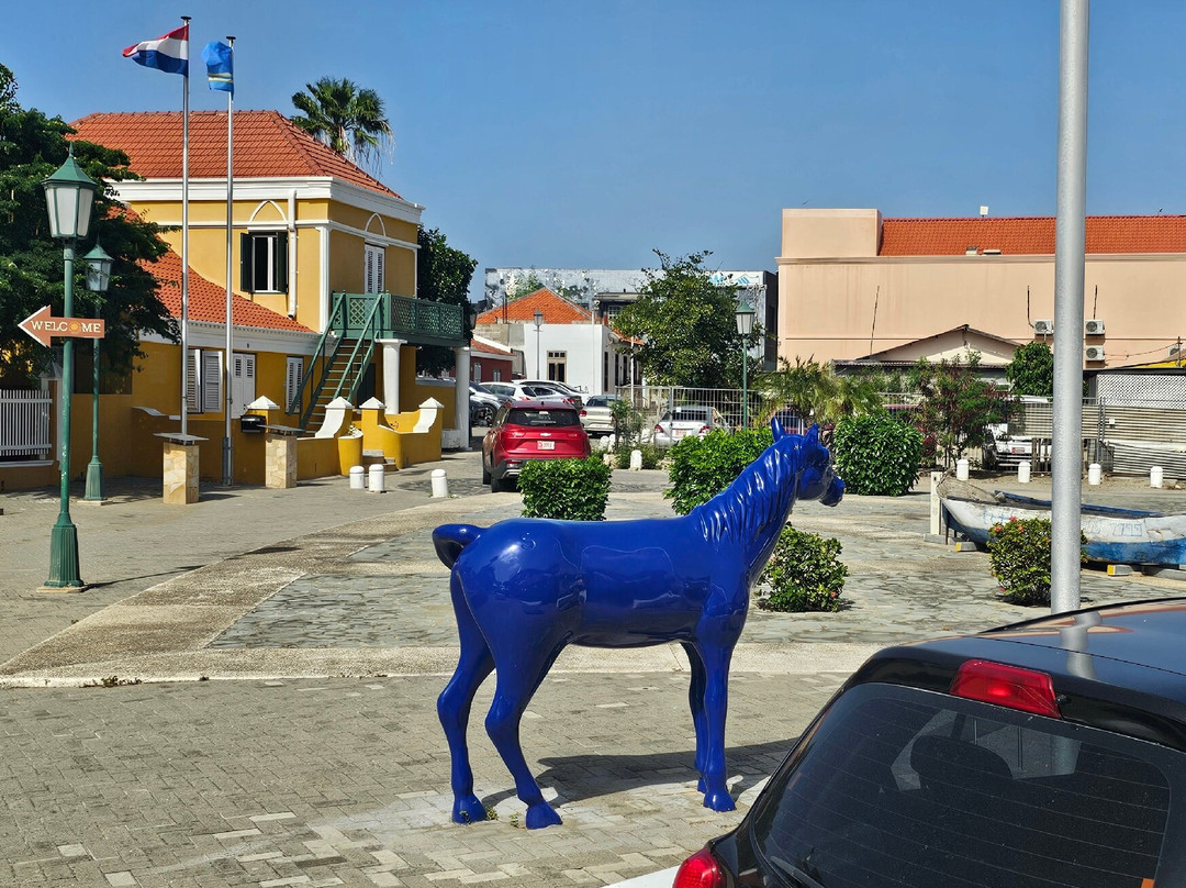 Aruba Streetcar-奥腊涅斯塔德必去景点