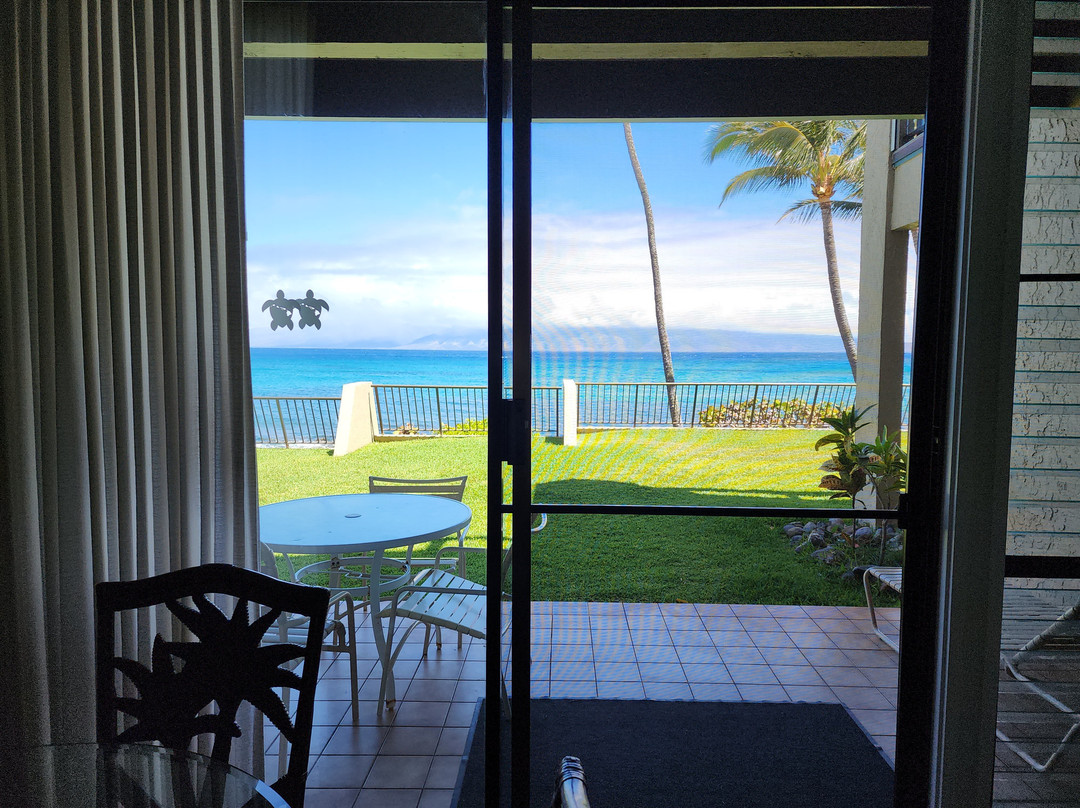 Napili Point Resort主图