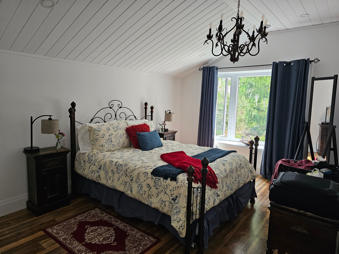 Runaway Rooster主图