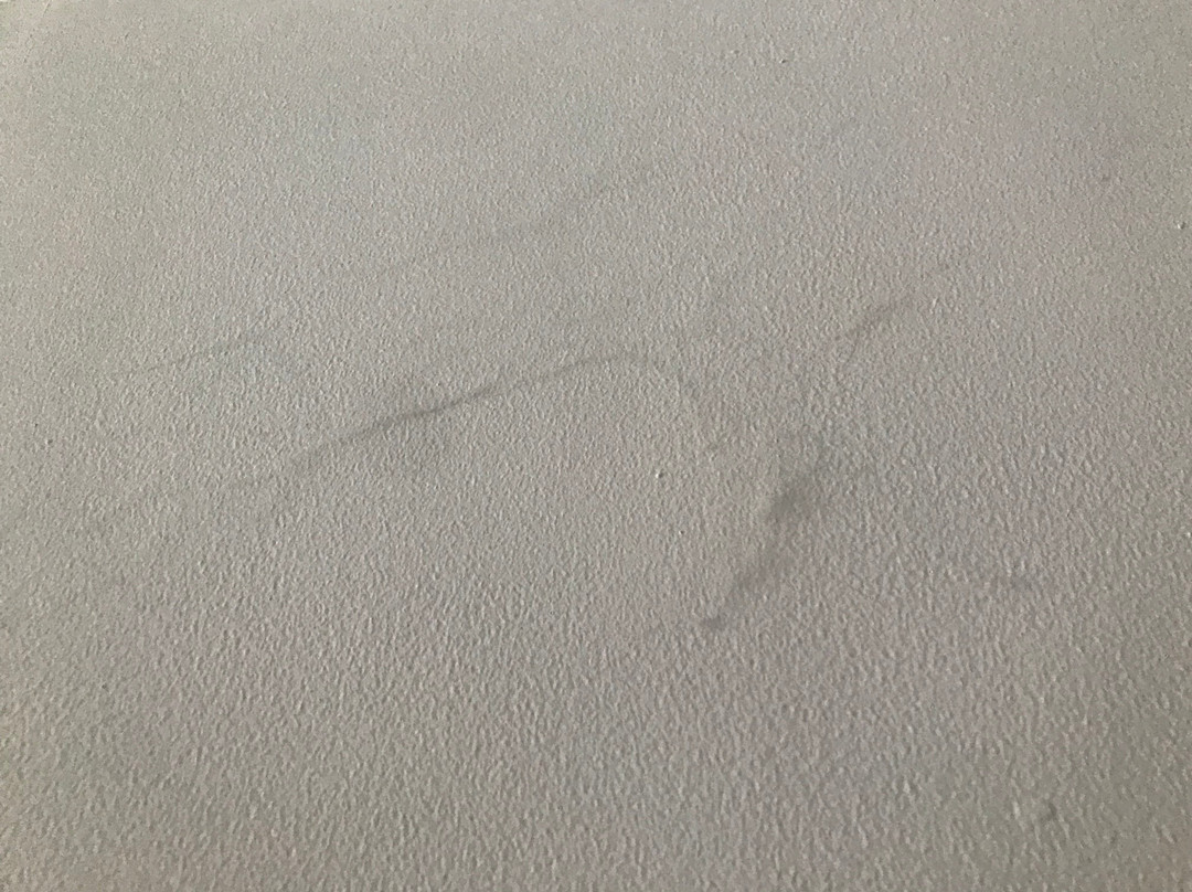 Hotel Estelar Altamira主图