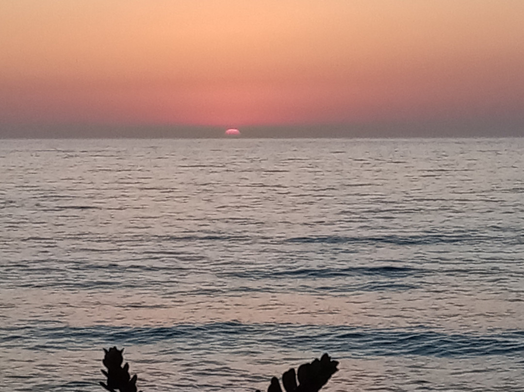 My Mamma Mia Pizzeria