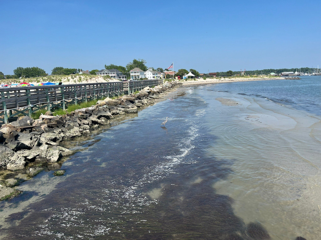 Fig Street Inn主图