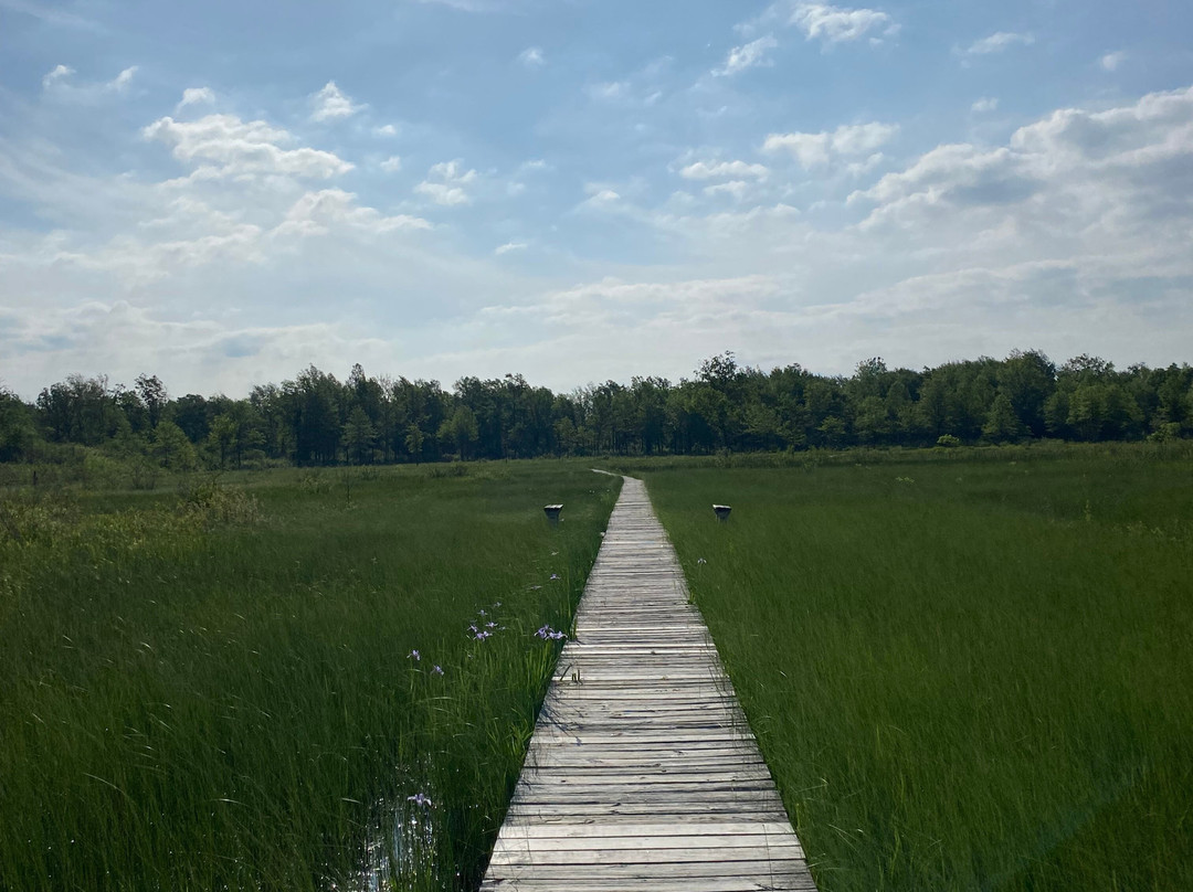 Irwin Prairie State Nature Preserve-托莱多必去景点