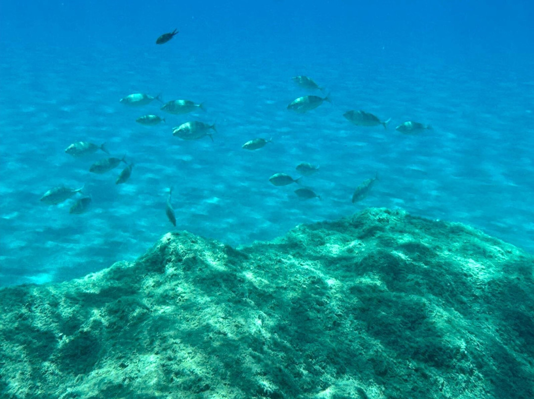 Psilos Volakas Beach-Palaiochora必去景点