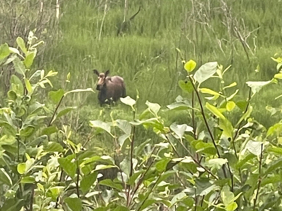 Hurricane Turn-塔尔基特纳必去景点