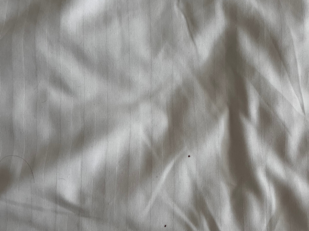 Intercontinental Dar Al Tawhid Makkah By IHG主图