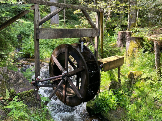 Zauberwaldpfad Bernau-Bernau im Schwarzwald必去景点