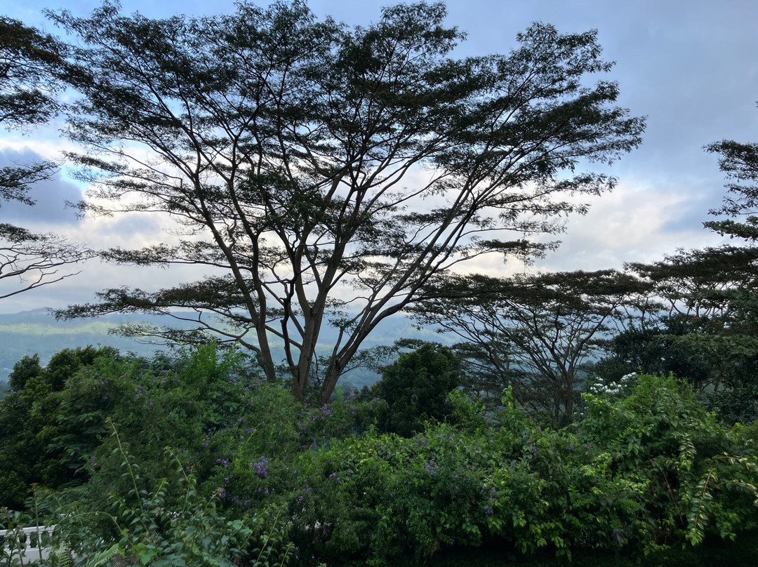 Ashburnham Estate主图