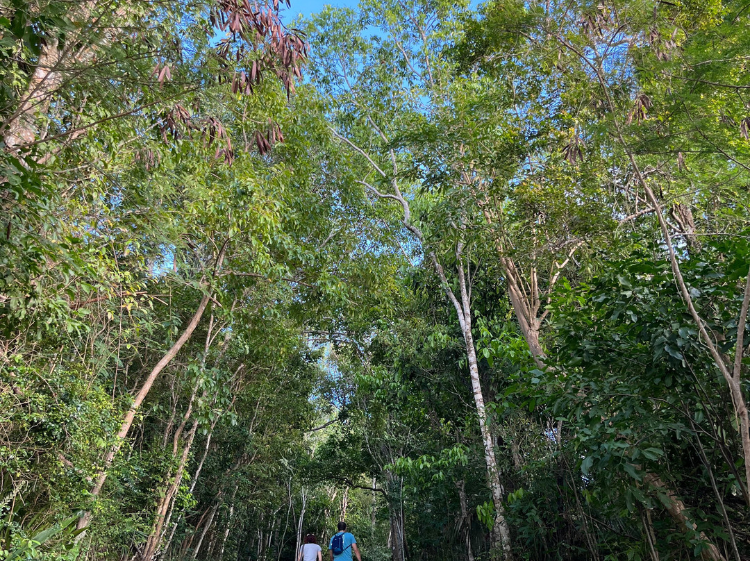 Oppenheimer Beach-克鲁兹湾必去景点