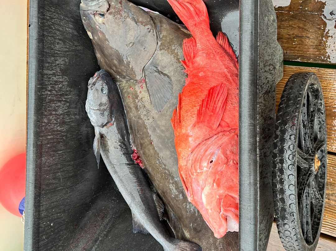 Svenson Sportfishing景点图片