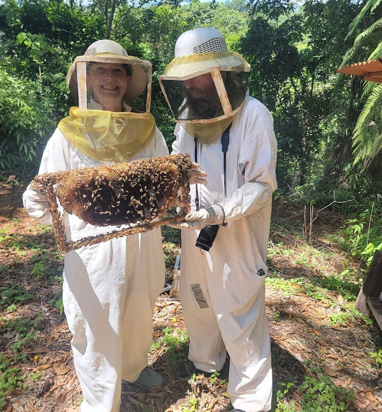 Manuel Antonio Bee Farm Tour景点图片
