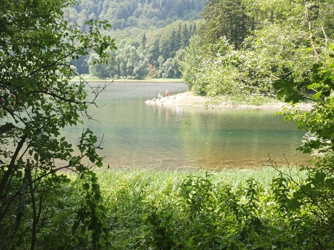 Biogradska Gora National Park Visitor Centre景点图片