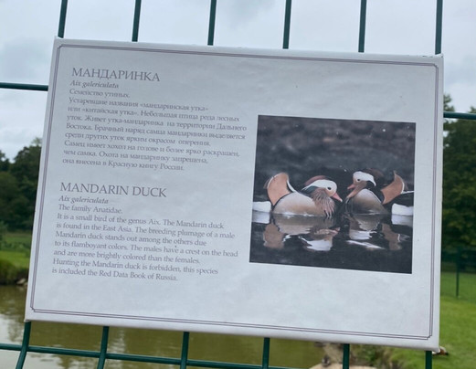 Zverinets-Lomonosov必去景点