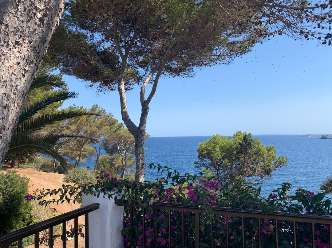 Club Cala Azul主图