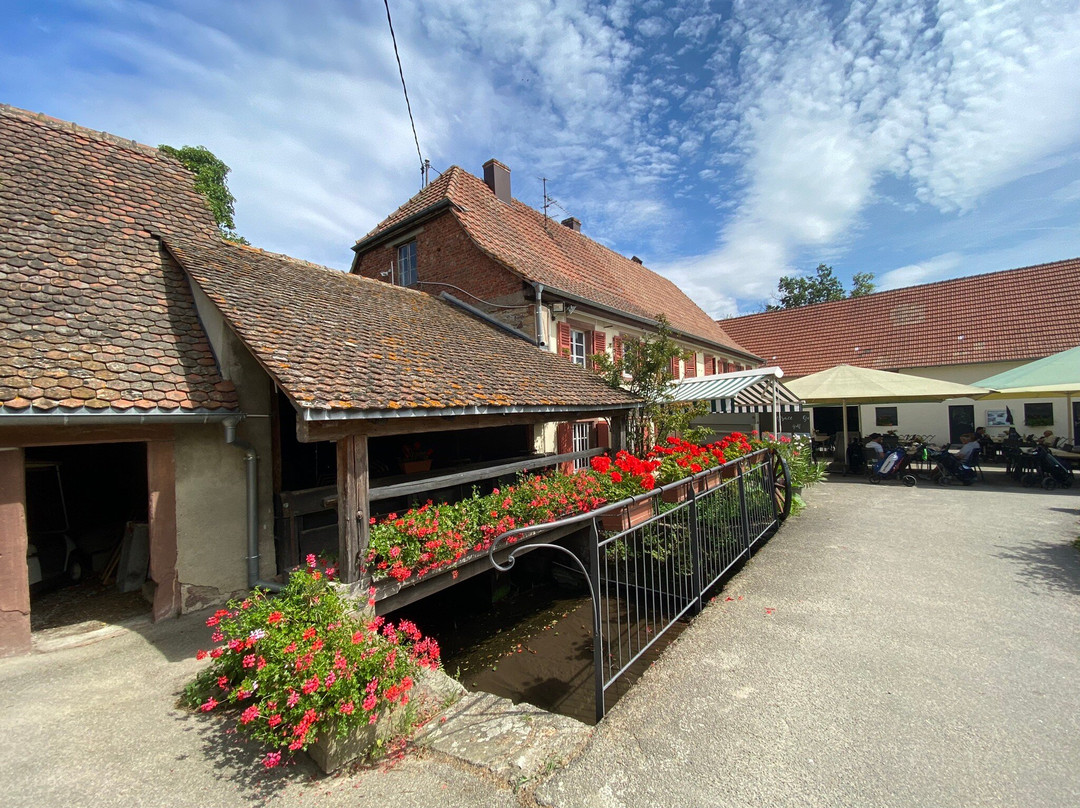 Alsace Golf Links景点图片
