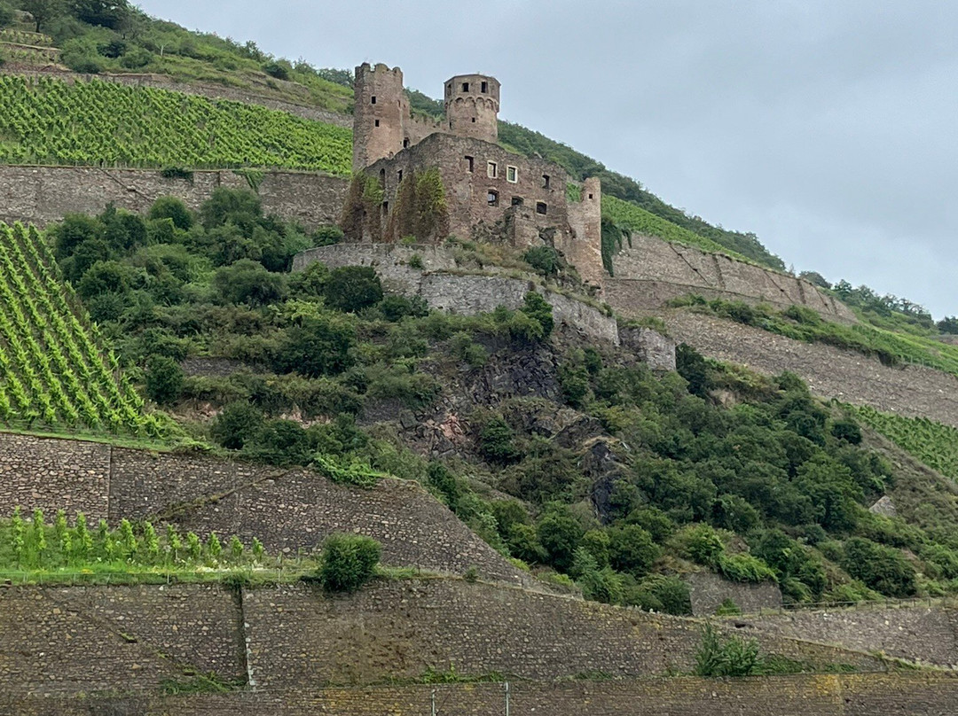 Bingen-Rudesheimer Boat Connection-莱茵河畔宾根必去景点