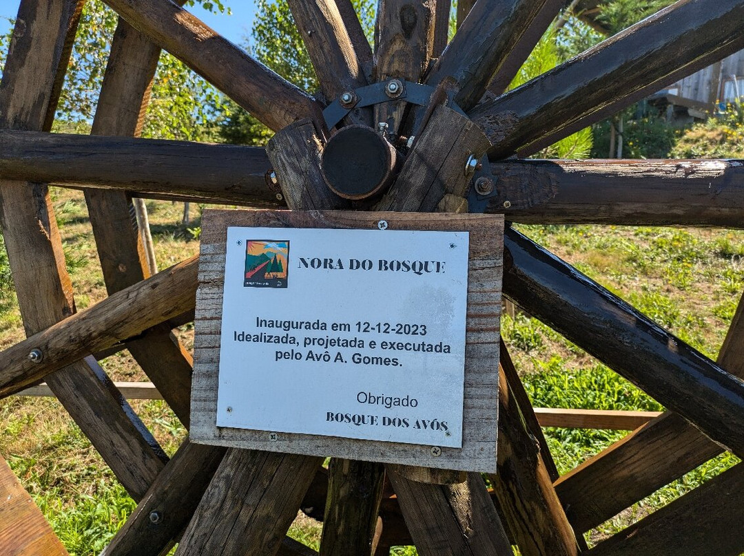 Bosque dos Avós景点图片