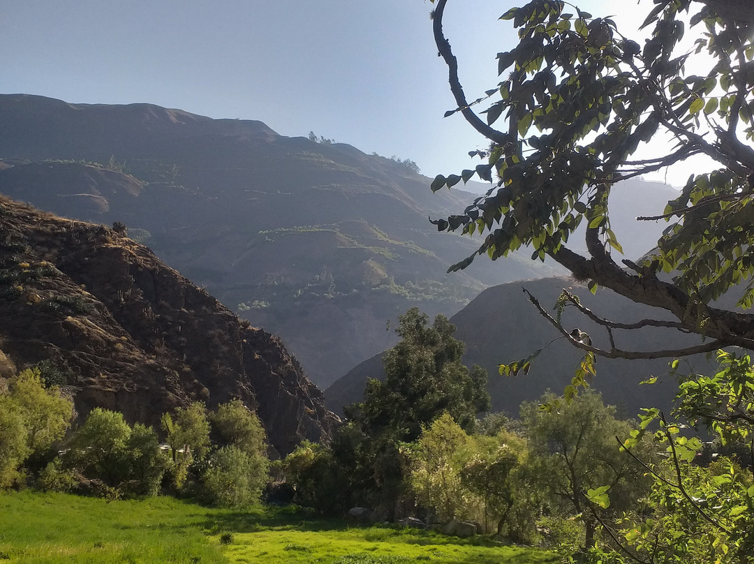 Fundo Hotel Ayarpongo主图