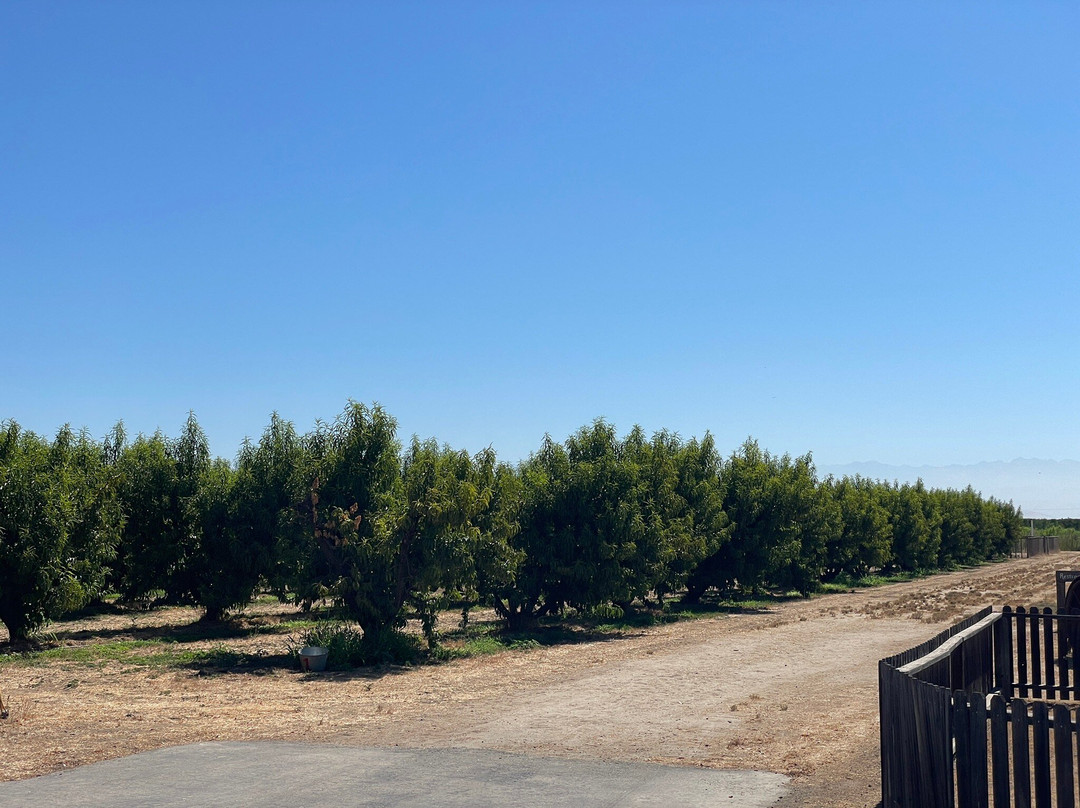 Naylor's organic family farm stay