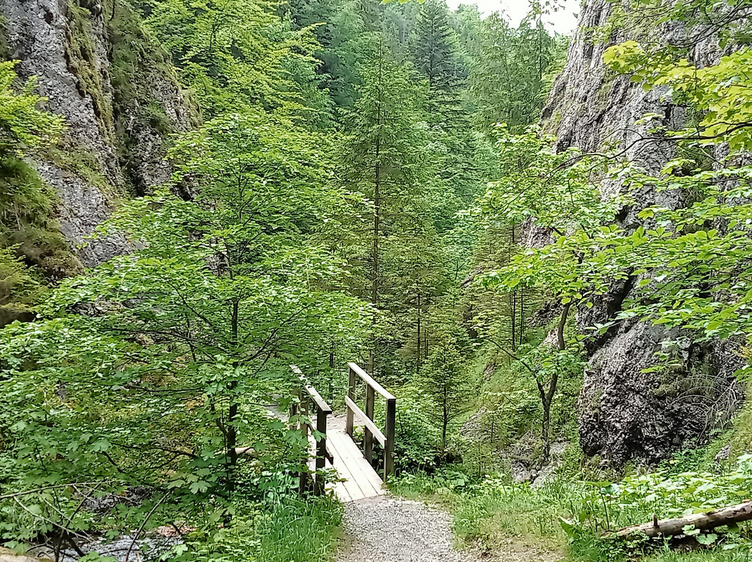Za Bramka Gorge景点图片