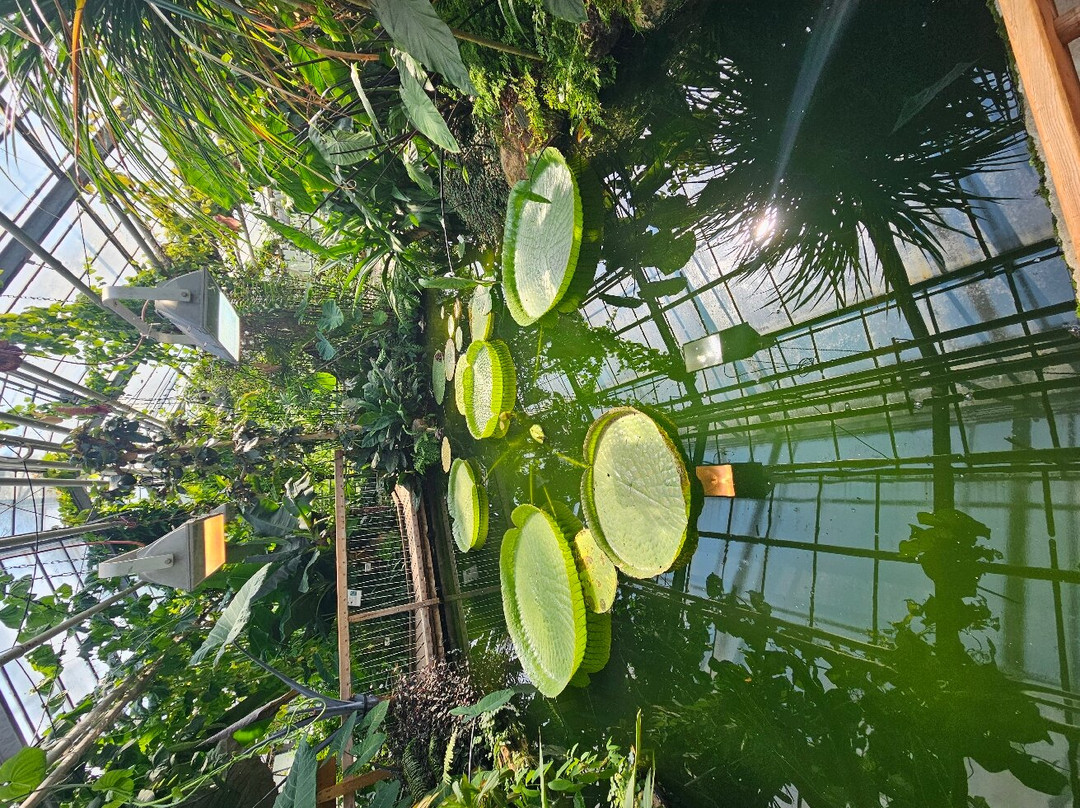 Botanical Garden Münster景点图片