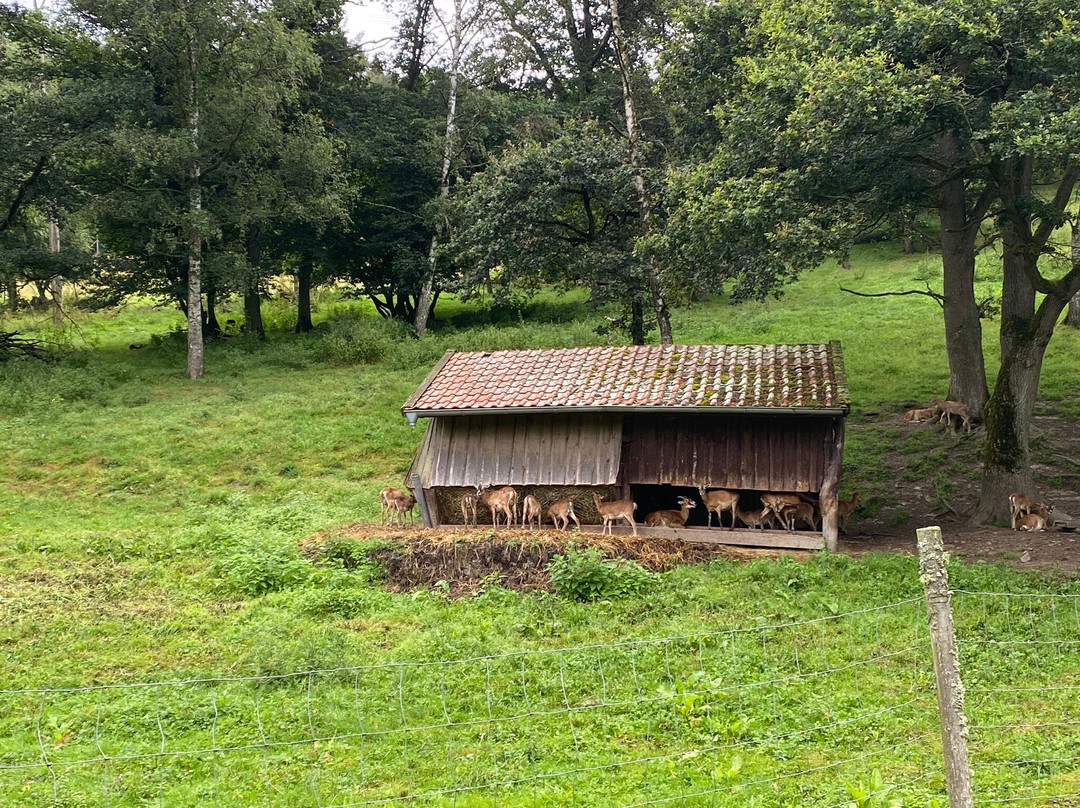 Tierpark Rheinböllen-Rheinbollen必去景点