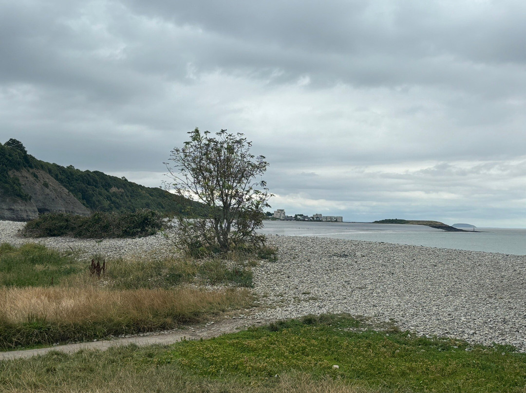 Porthkerry Country Park景点图片