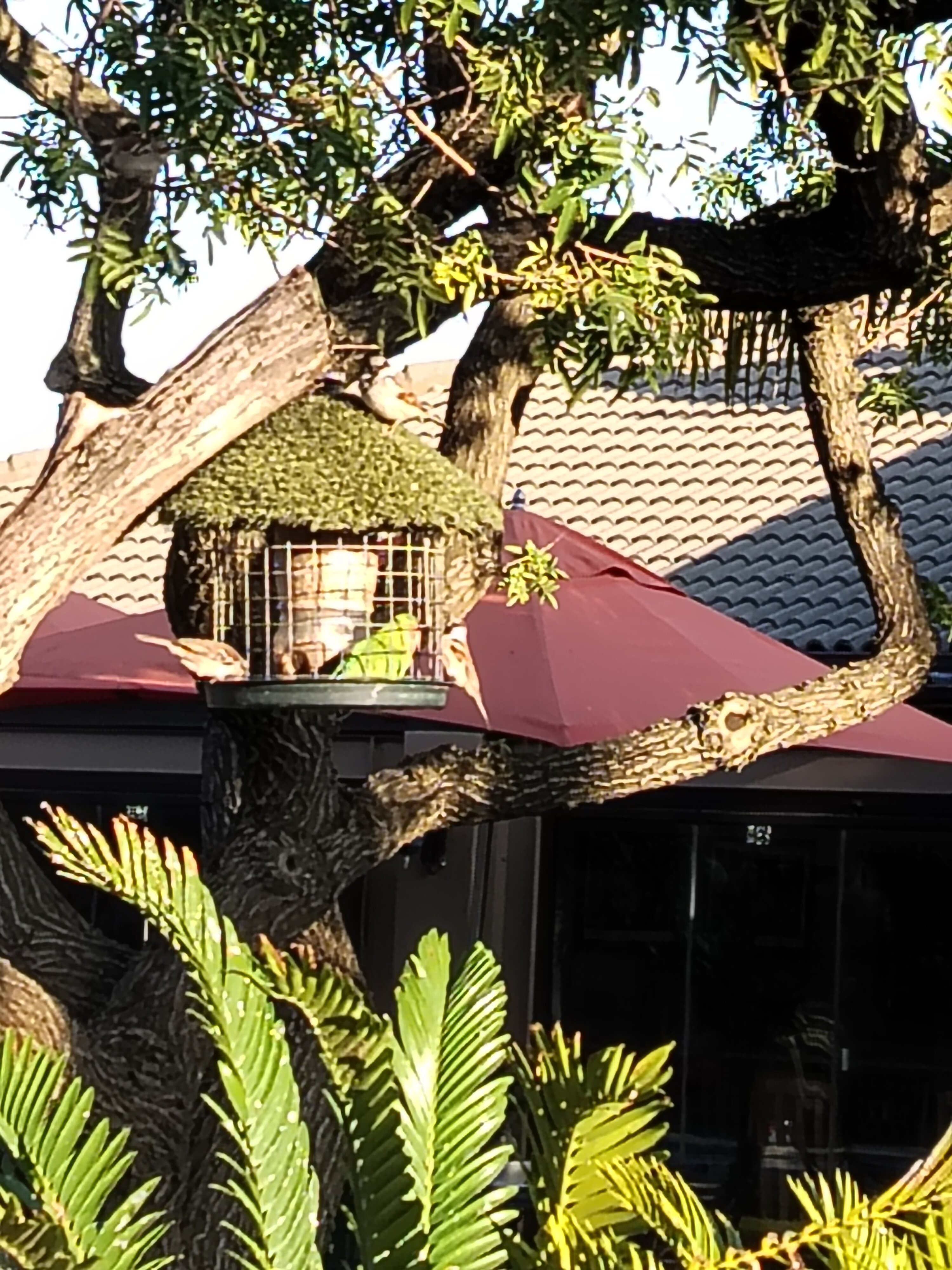 Excellent Guest House-浴室