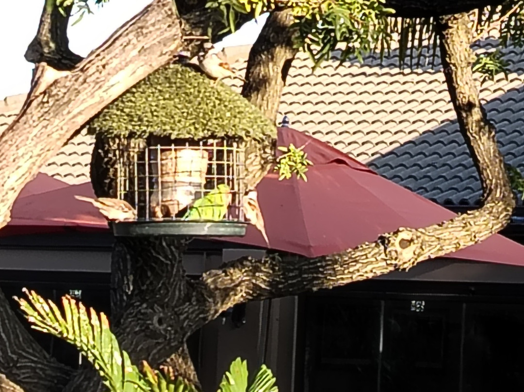 Excellent Guest House主图