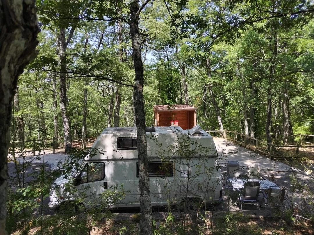 Lucania Outdoor Park景点图片