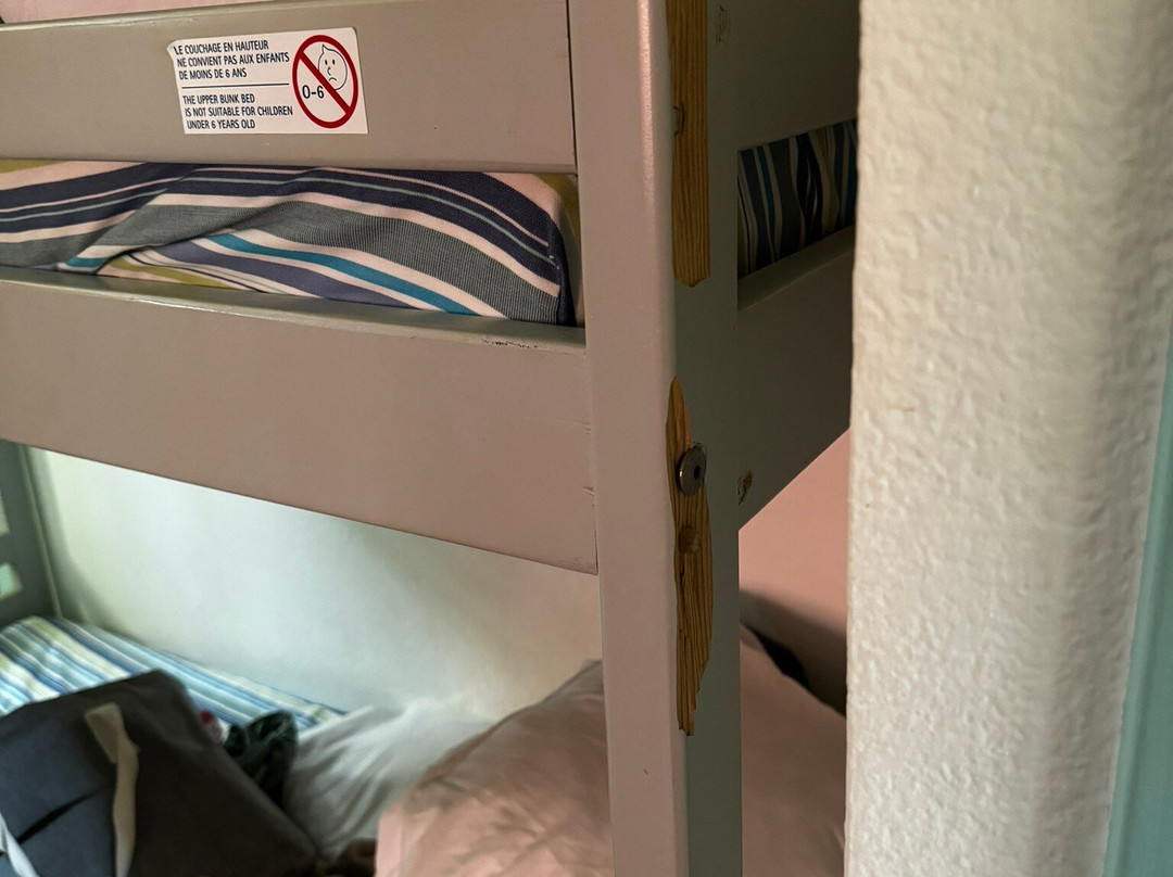 Résidence Odalys Référence La Palmeraie主图