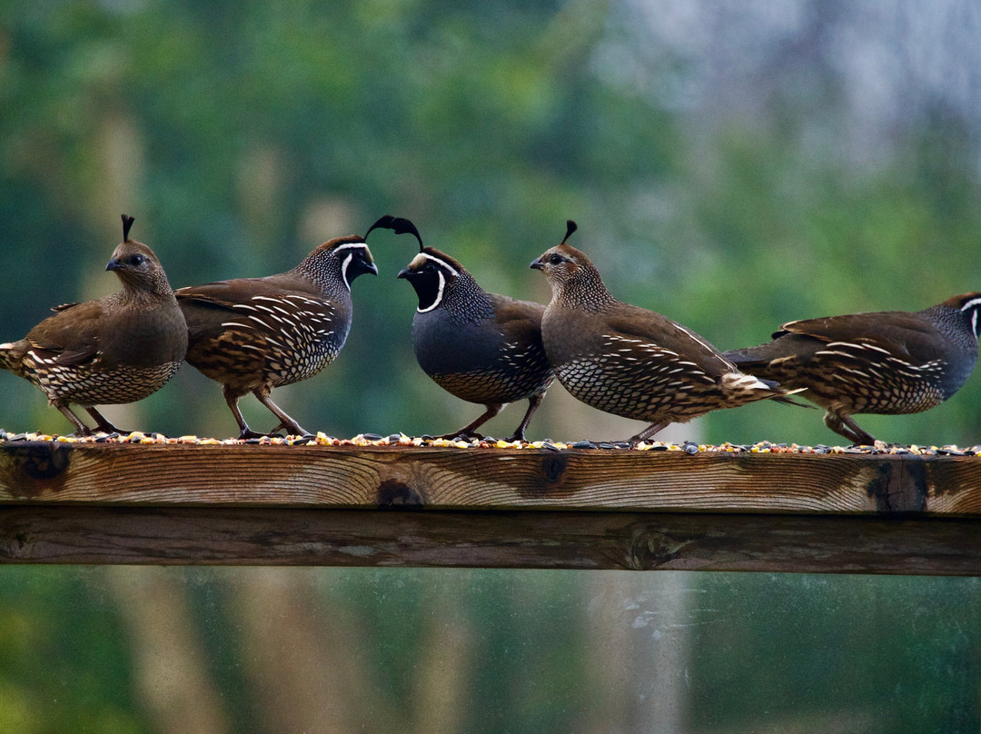 Trinidad酒店住宿-Turtle Rocks Oceanfront Inn