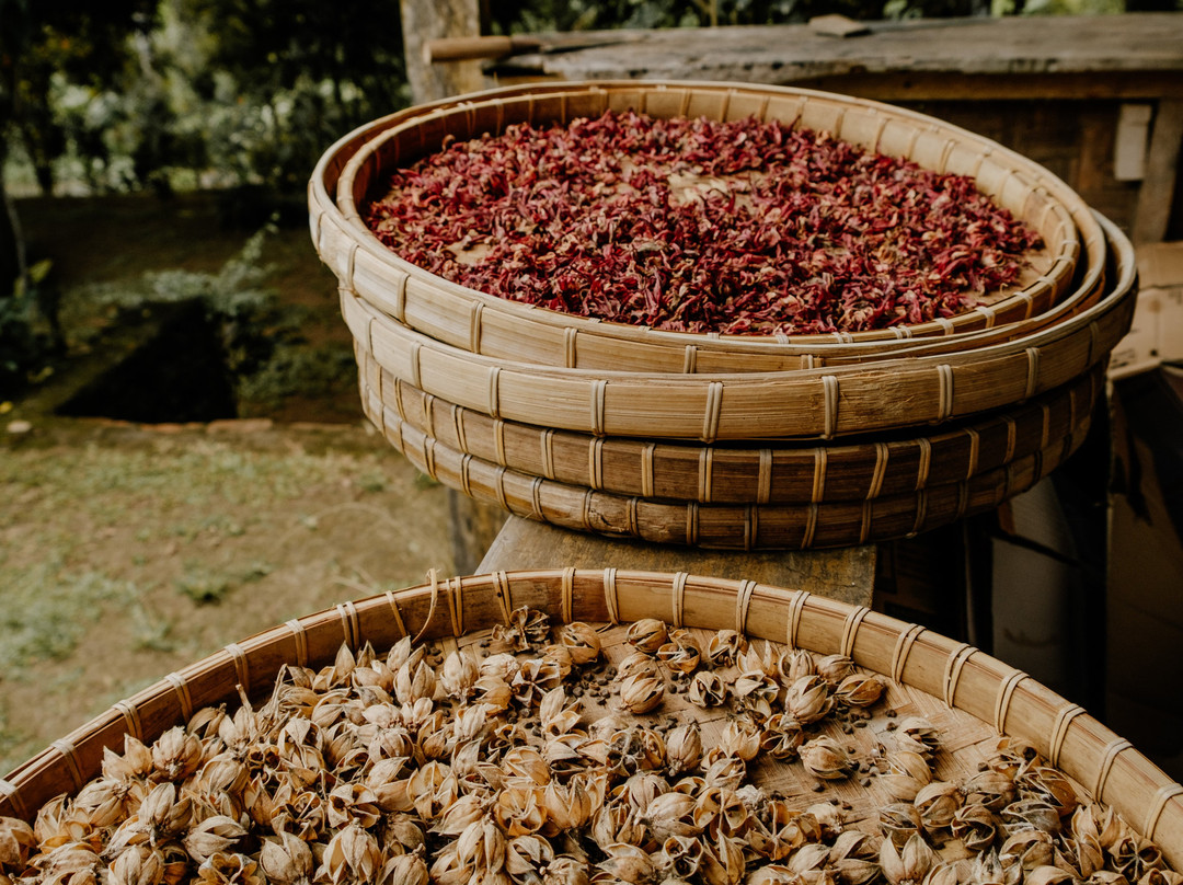 Rinjani Lighthouse Cottages主图