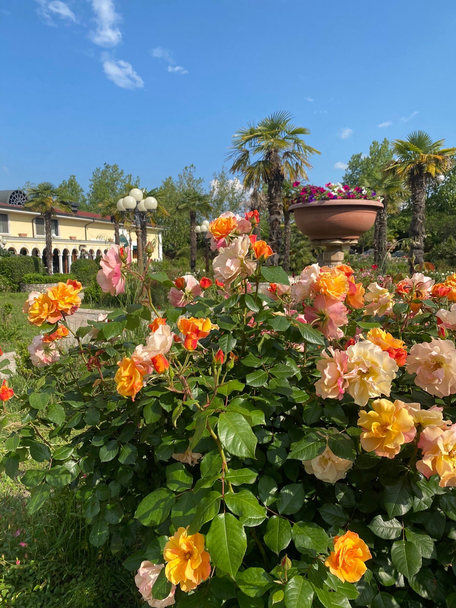 Terme Francescane Village-官方