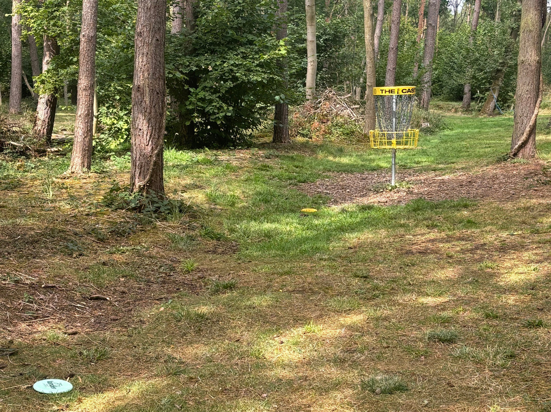 Gilly's Disc Golf景点图片