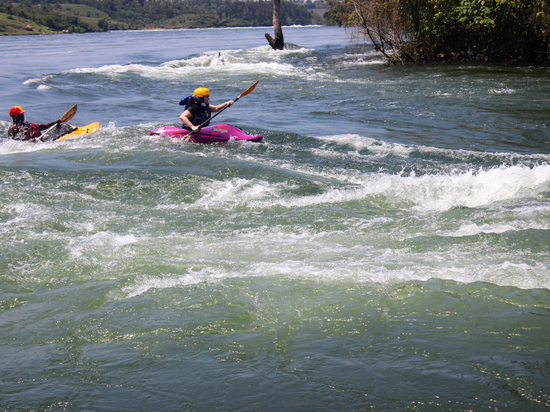 Kayak the Nile景点图片